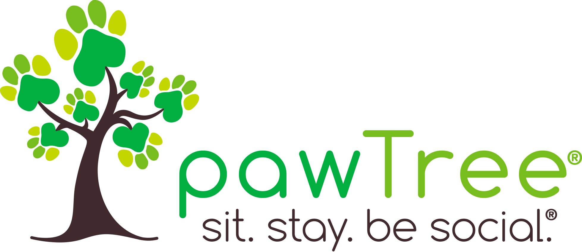 Paw Tree Pet Food